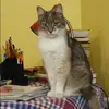 Отзыв от Фаина Леонтьева